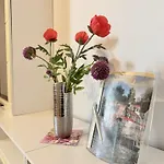 Asia Oase Vendégház