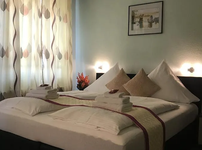 Pensionat Asia Oase 3*