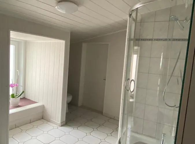 Affittacamere Asia Oase 3*